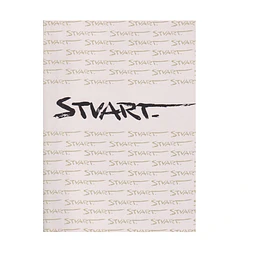 VIDA E OBRA DE STUART CARVALHAIS