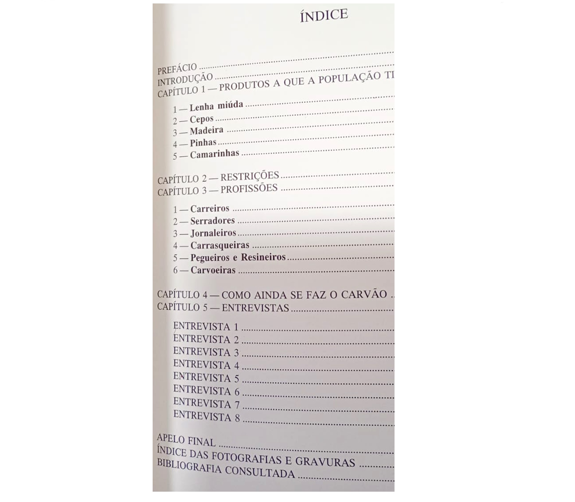 O PINHAL DE LEIRIA: SUA IMPORTÂNCIA NA ECONOMIA LOCAL