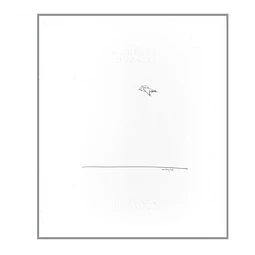 A GUERRA COLONIAL [DESENHO] 