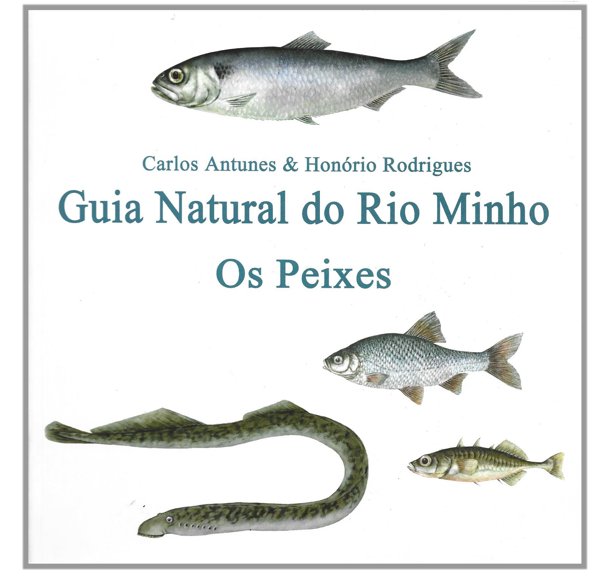 GUIA NATURAL DO RIO MINHO: OS PEIXES