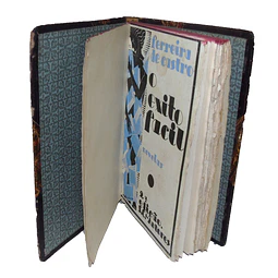 O ÊXITO FÁCIL E OUTRAS NOVELAS