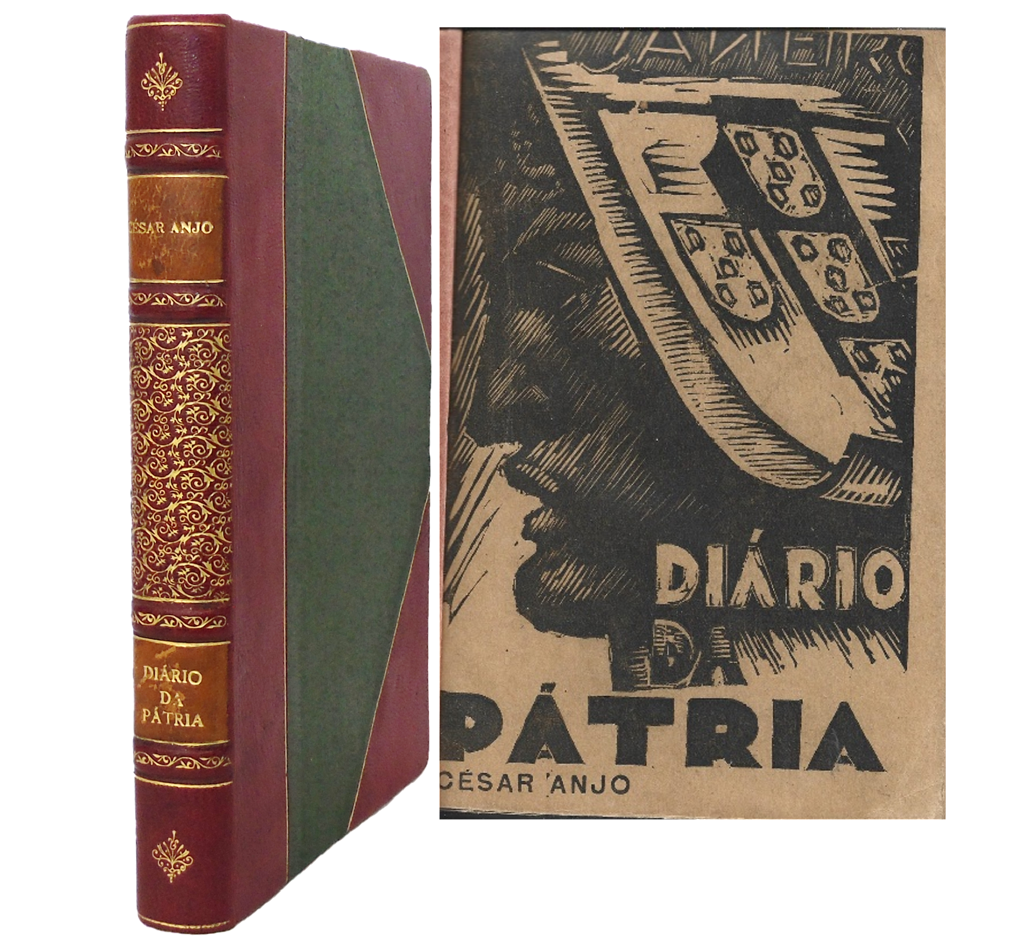 DIÁRIO DA PÁTRIA