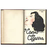 O CANTO DA CIGARRA