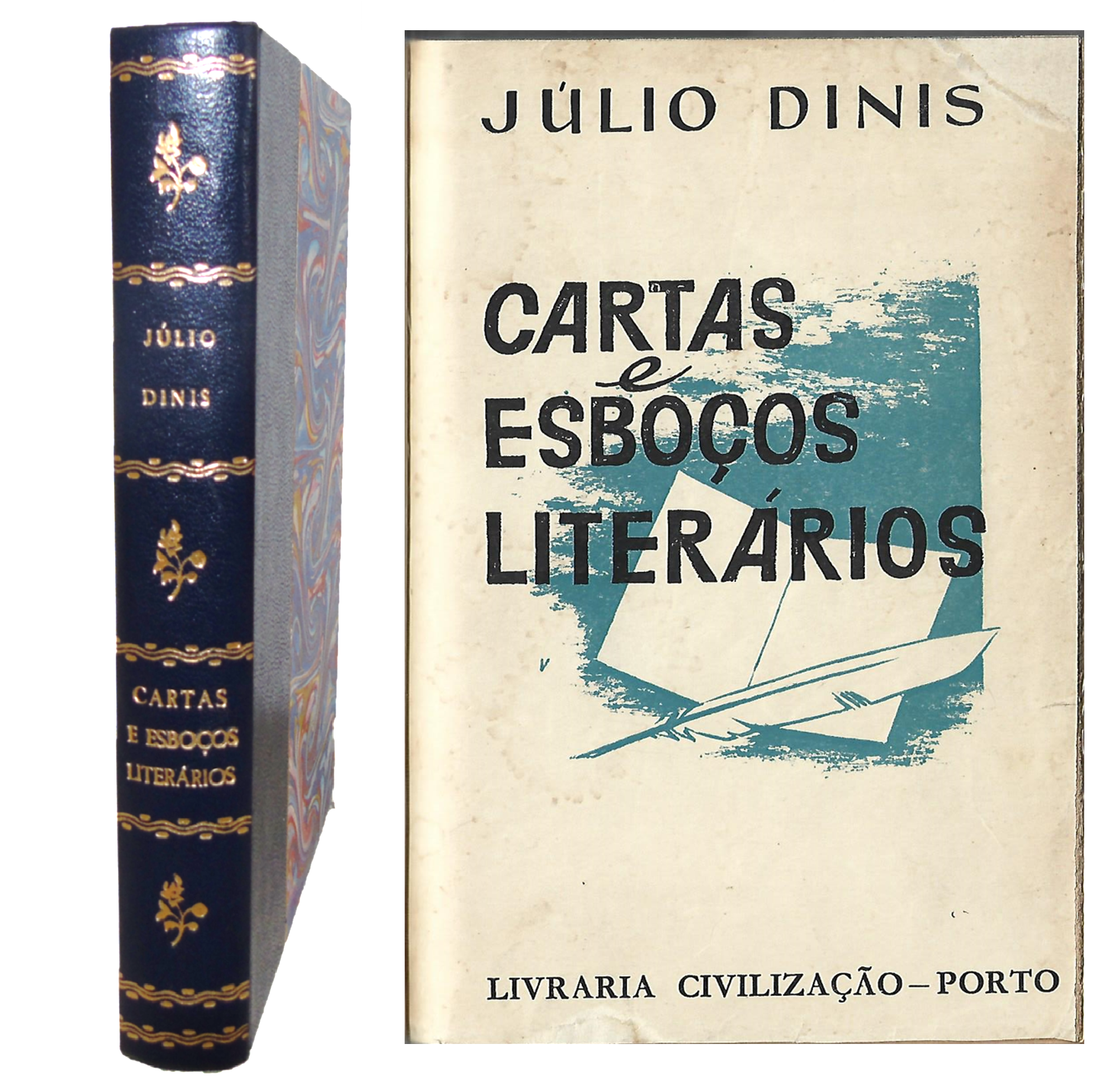 JÚLIO DINIS: CARTAS E ESBOÇOS LITERÁRIOS