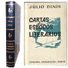 JÚLIO DINIS: CARTAS E ESBOÇOS LITERÁRIOS