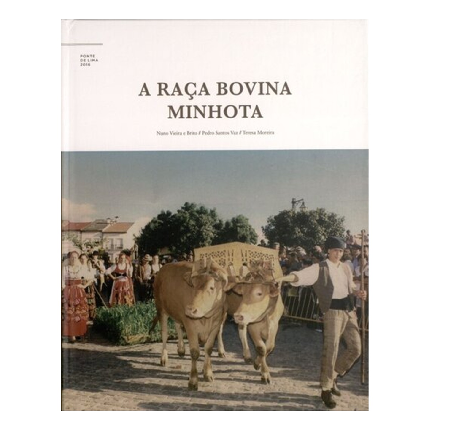 A RAÇA BOVINA MINHOTA 
