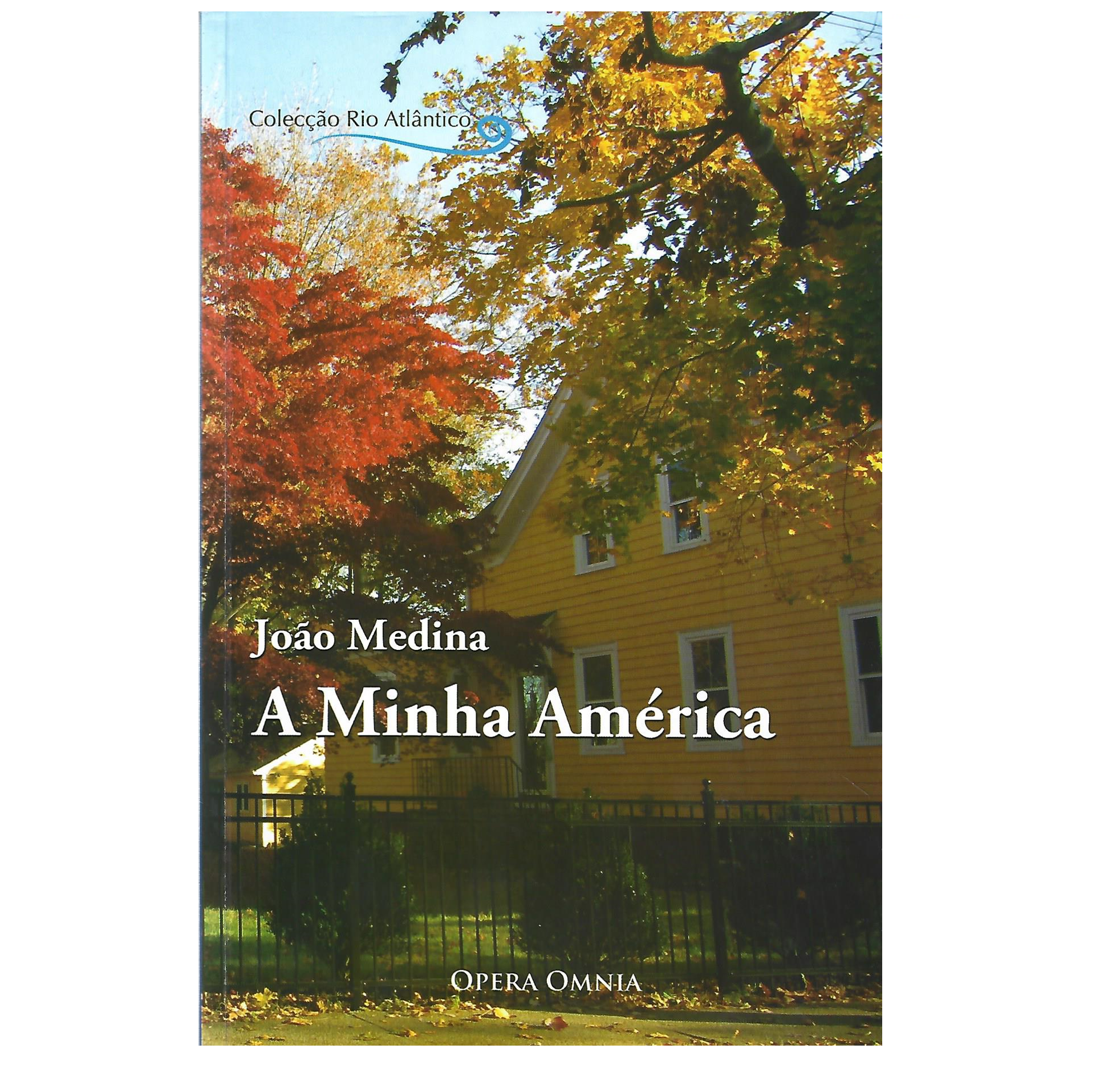 PANORAMA CRÍTICO DA HISTÓRIA E CULTURA NORTE-AMERICANAS.