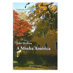 PANORAMA CRÍTICO DA HISTÓRIA E CULTURA NORTE-AMERICANAS.