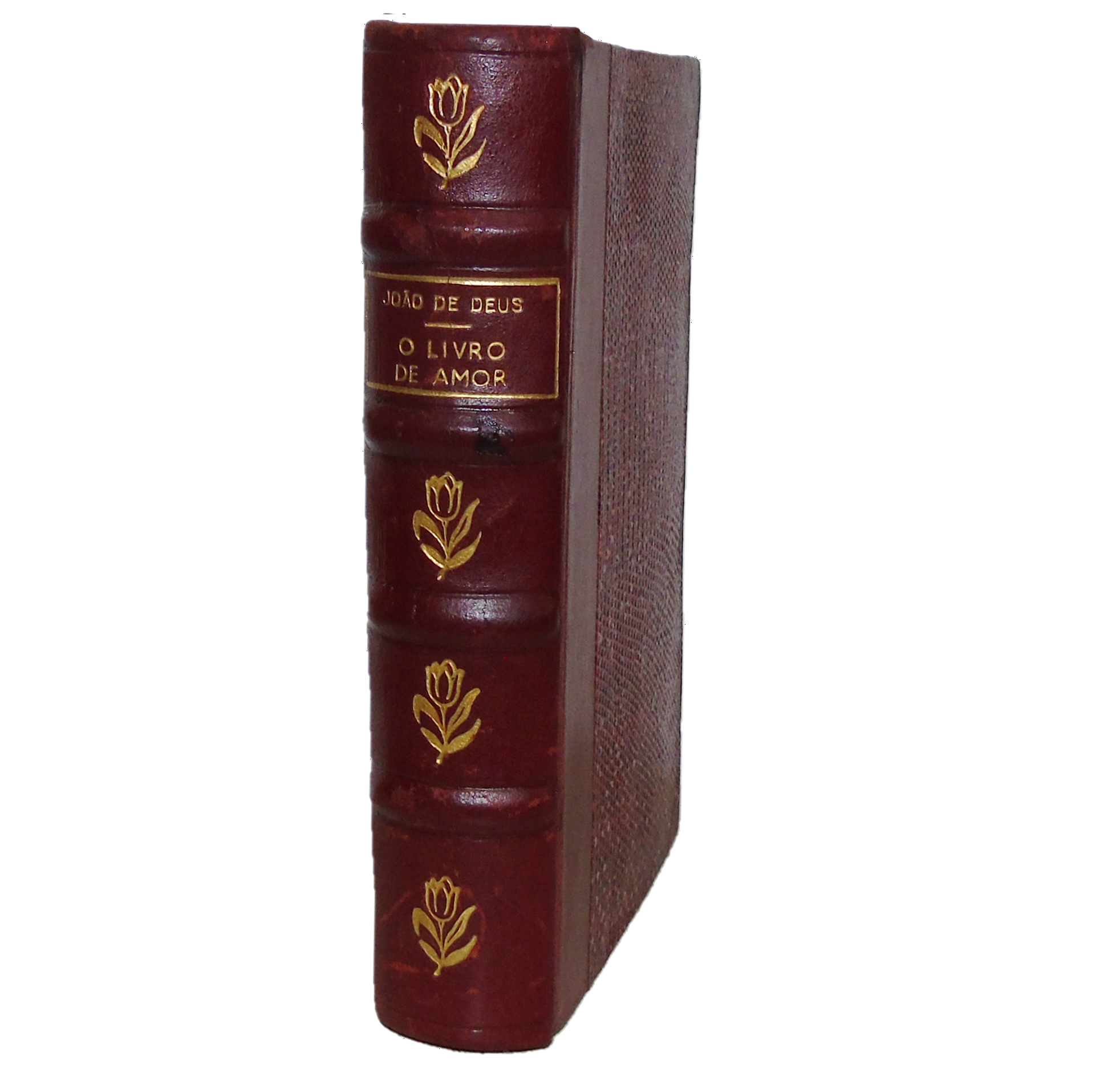 O LIVRO DE AMOR DE JOÃO DE DEUS.
