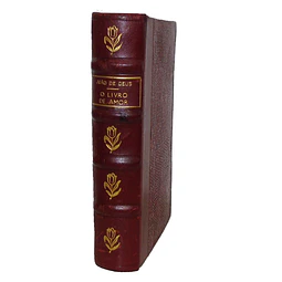 O LIVRO DE AMOR DE JOÃO DE DEUS.