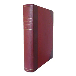PEDRAS DE ARMAS: CIDADE DE BRAGA (1 vols.)  