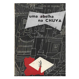 UMA ABELHA NA CHUVA