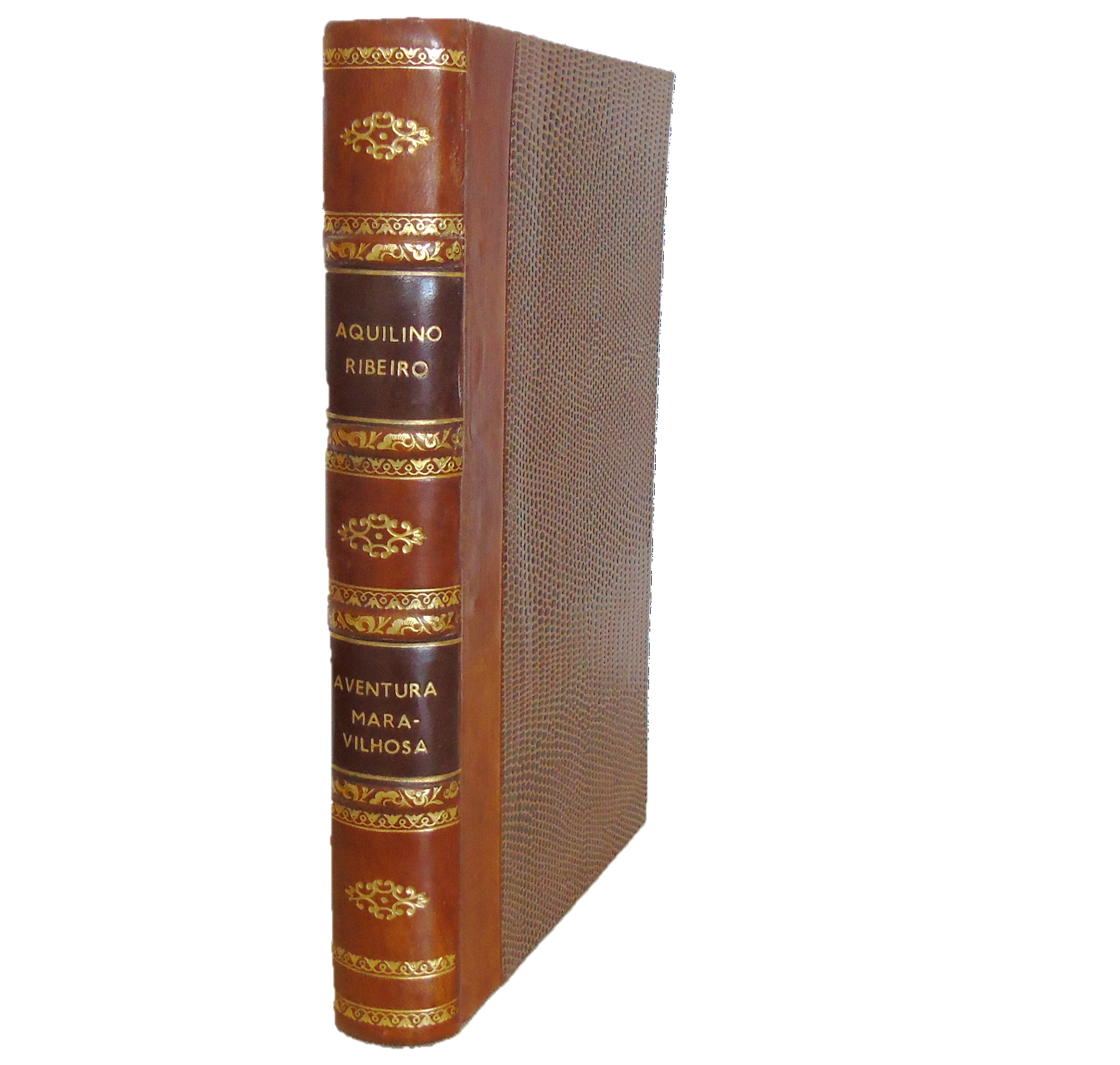 AVENTURA MARAVILHOSA DE D. SEBASTIÃO