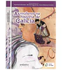 AS MULLERES NA HISTORIA DE GALICIA.