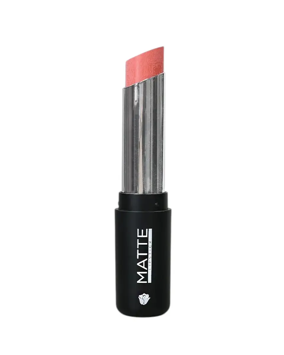 Labial en Barra Matte 5