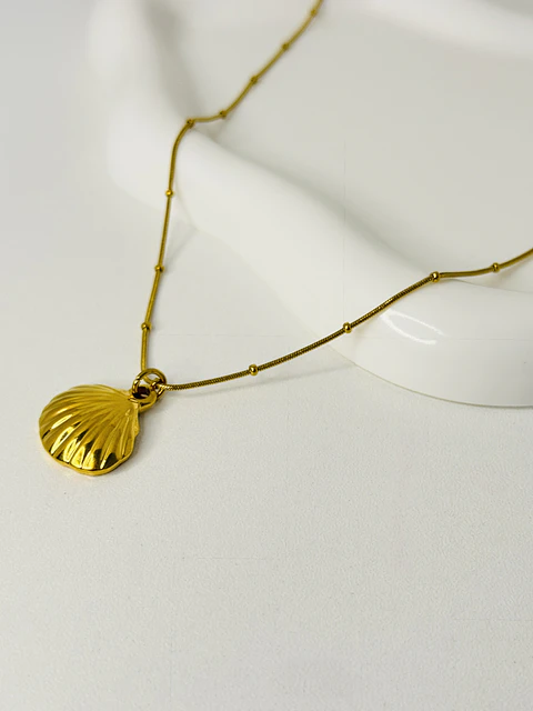 Collar Concha en Acero Inoxidable