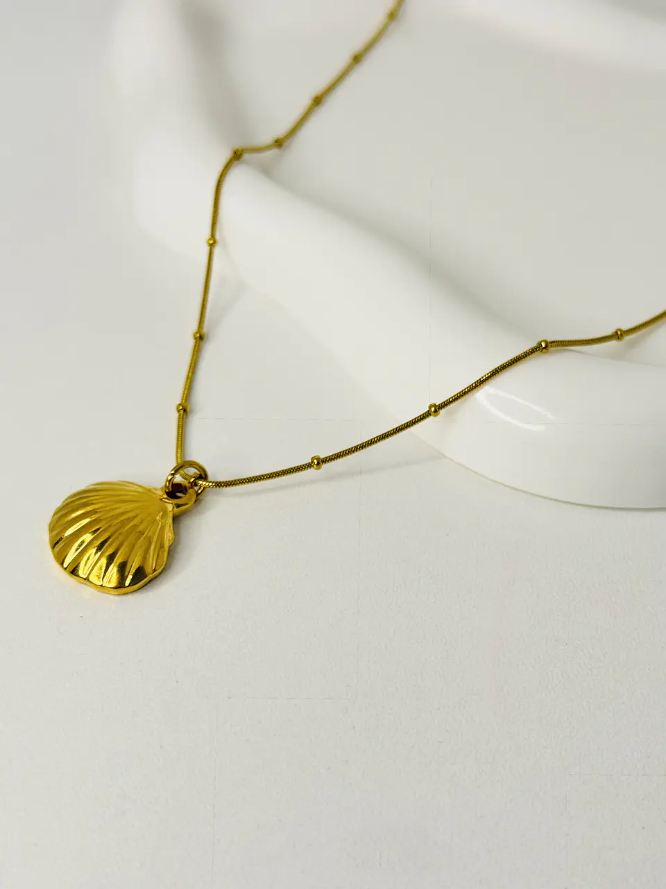 Collar Concha en Acero Inoxidable 1