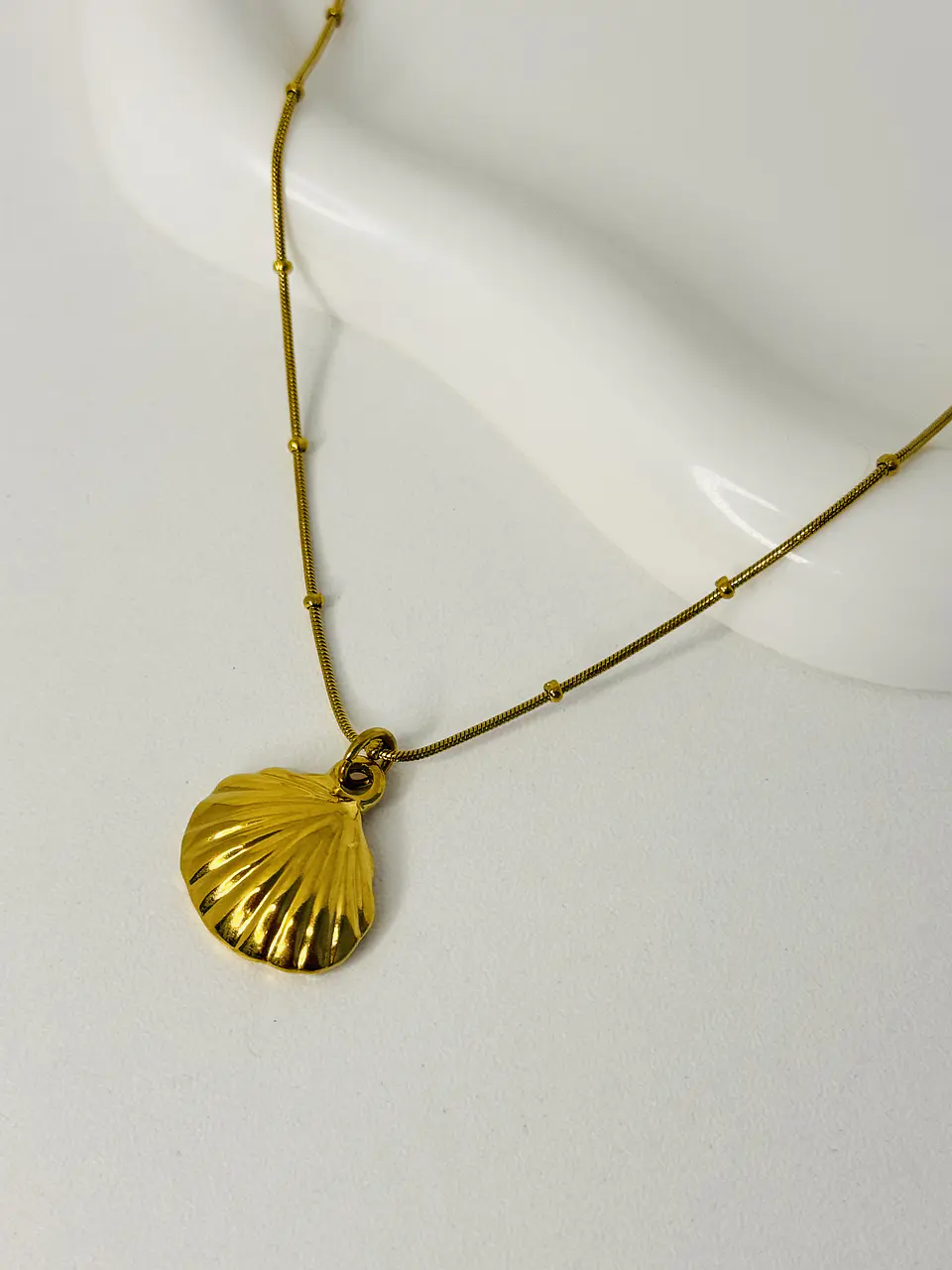 Collar Concha en Acero Inoxidable 3