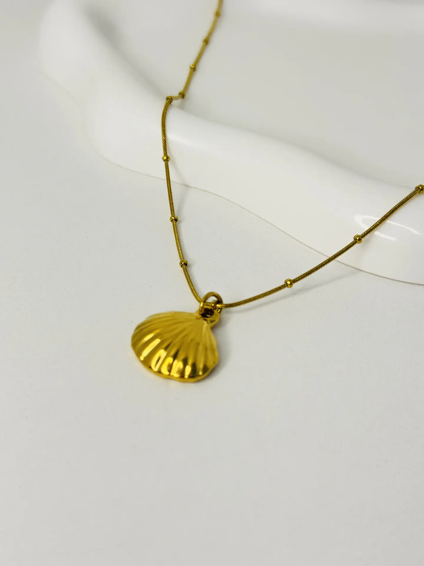 Collar Concha en Acero Inoxidable 2