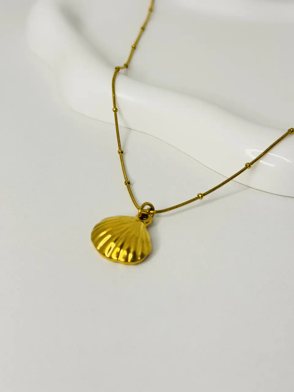 Collar Concha en Acero Inoxidable 2