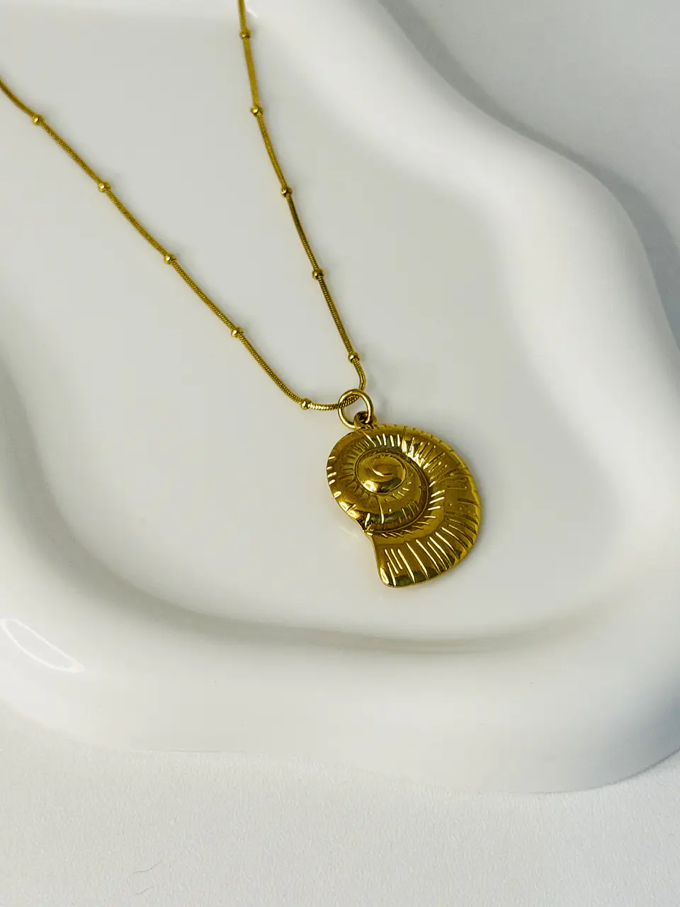 Collar Caracol en Acero Inoxidable 4