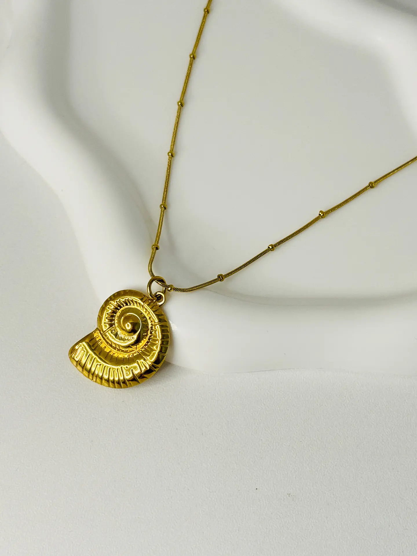 Collar Caracol en Acero Inoxidable 1