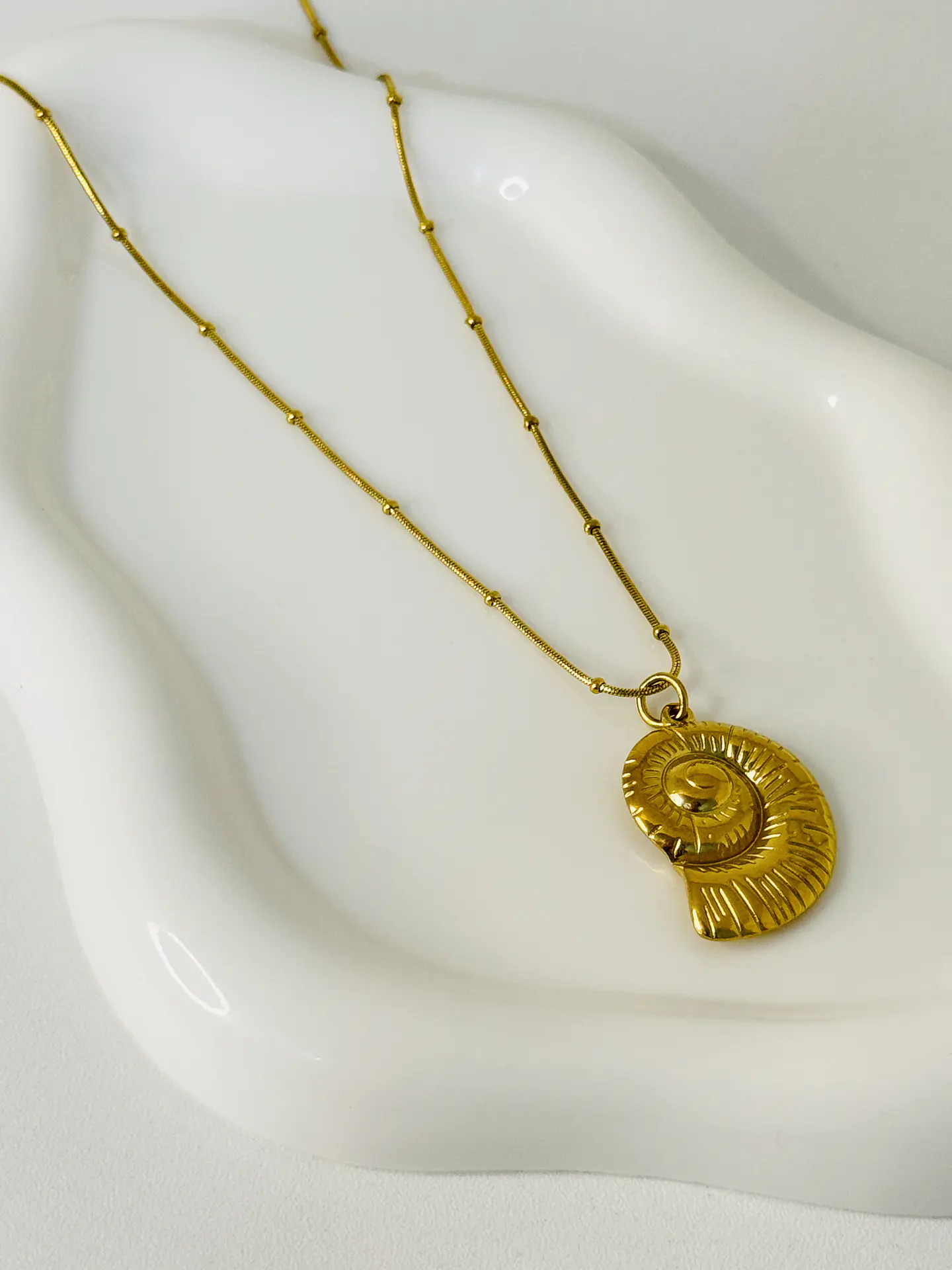 Collar Caracol en Acero Inoxidable 3