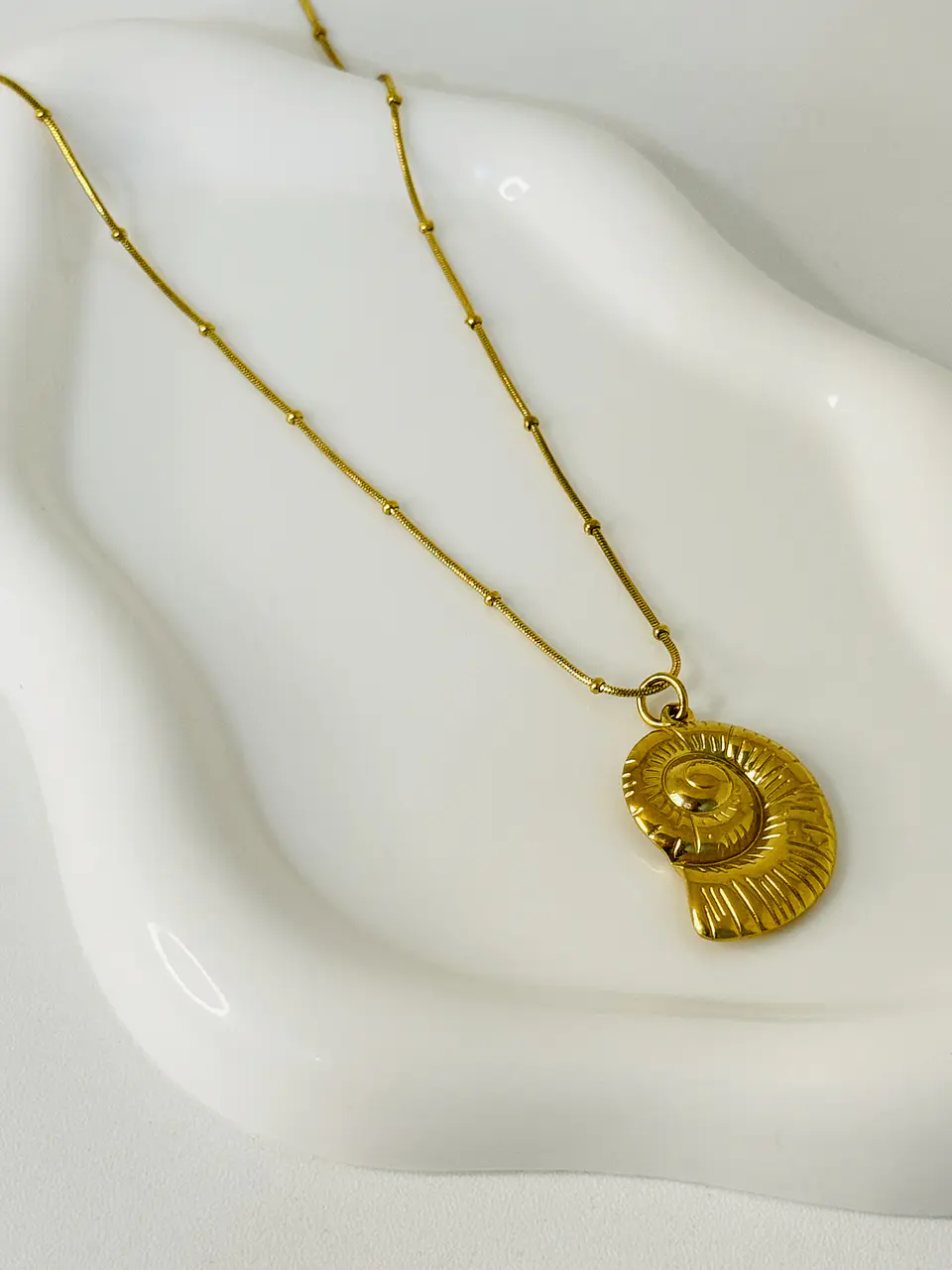 Collar Caracol en Acero Inoxidable 3