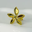 Anillos