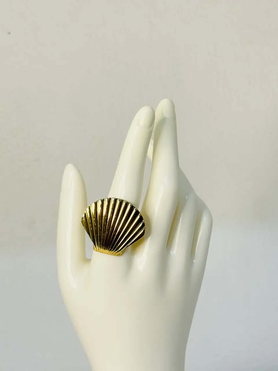 Anillo Concha Vieira en Acero  2