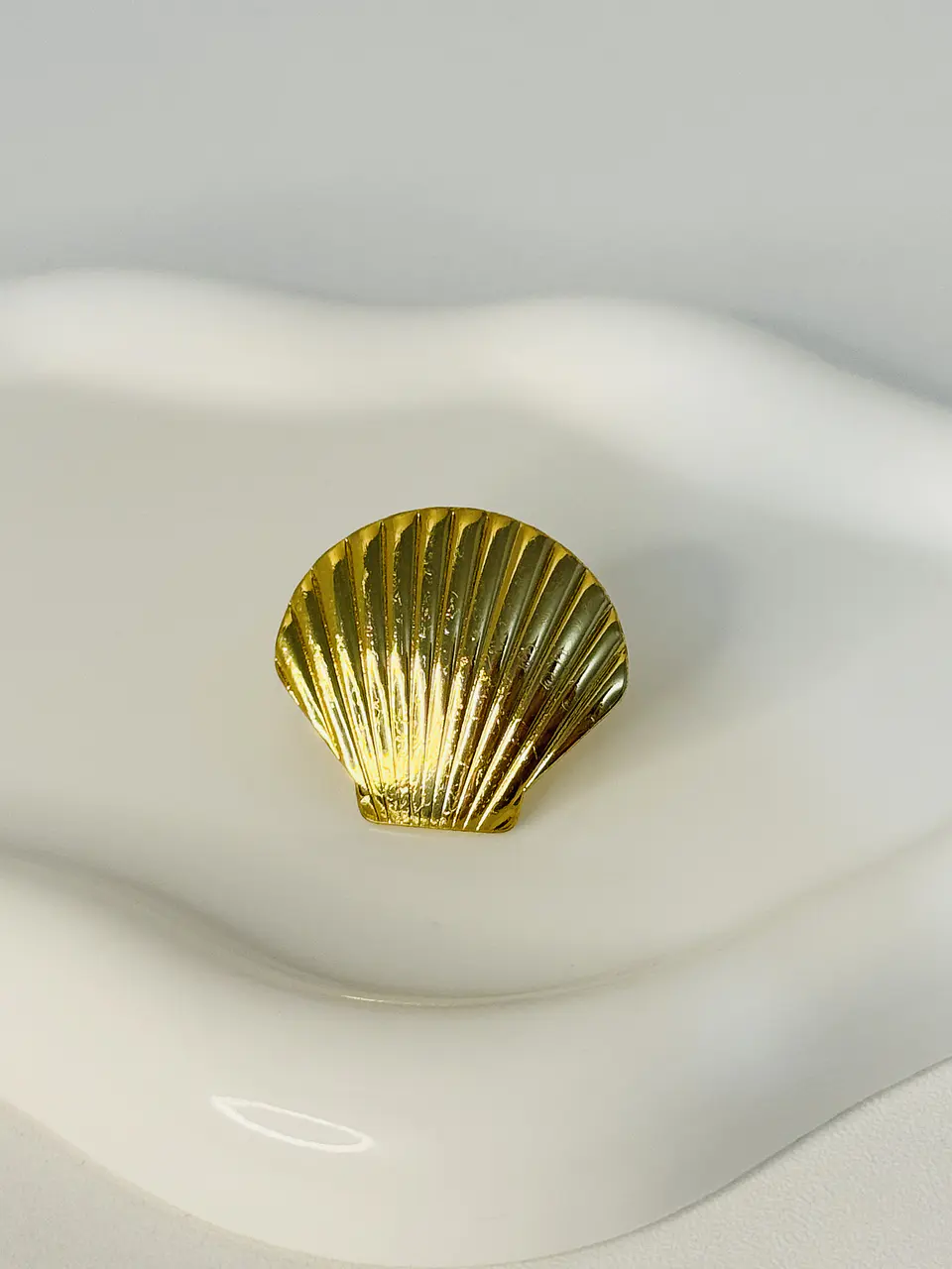 Anillo Concha Vieira en Acero  1