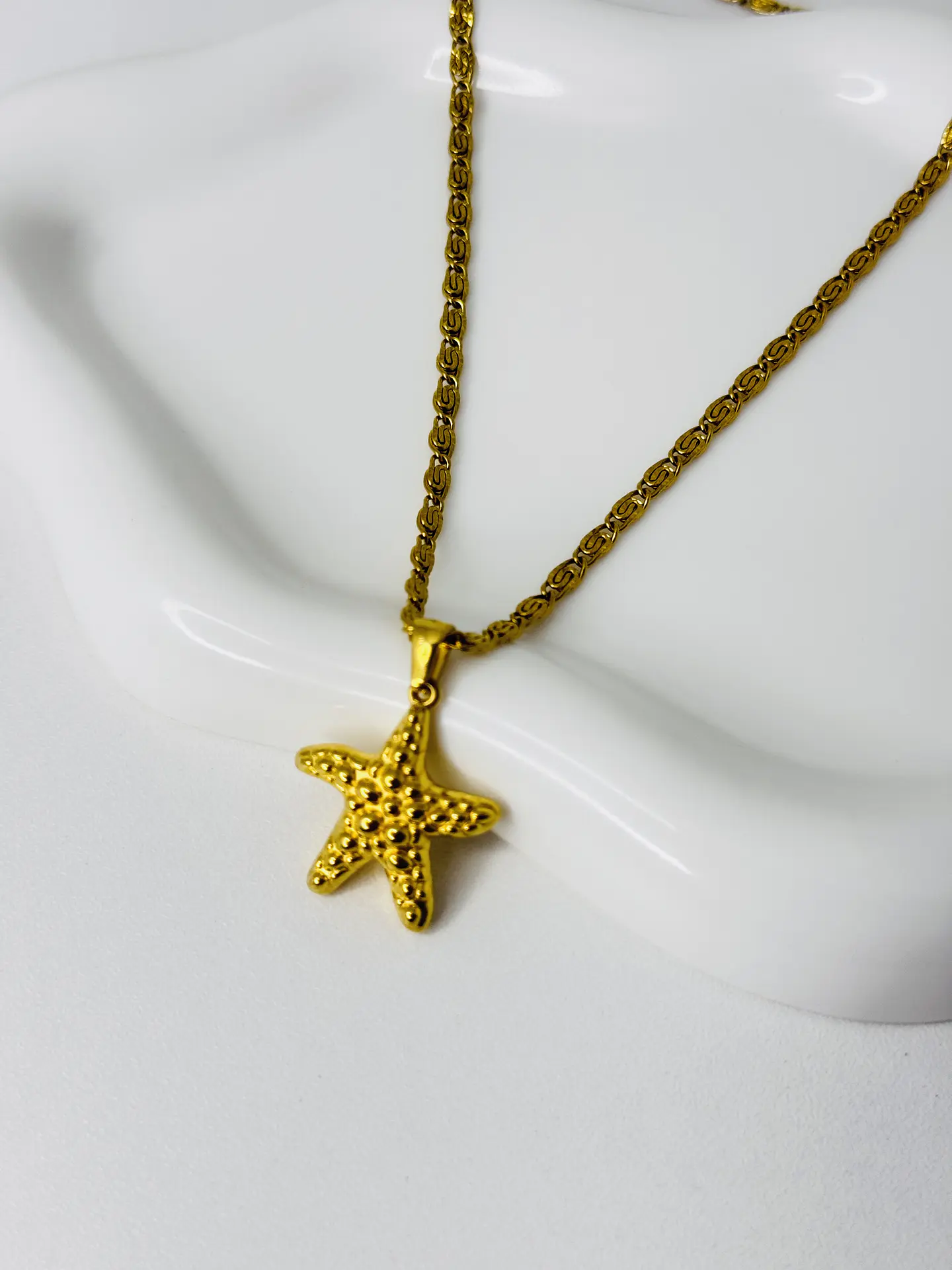 Collar Estrella de Mar  en Acero  2