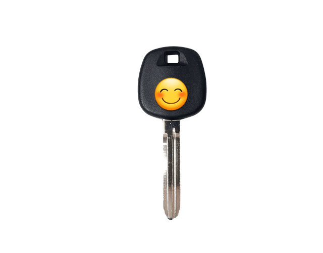 Molde En Blanco Cerrajeria Autos Mazda - Toyota Pack X 5und