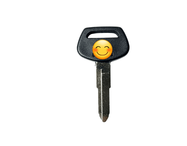 Molde En Blanco Cerrajeria Autos Mazda - Toyota Pack X 5und