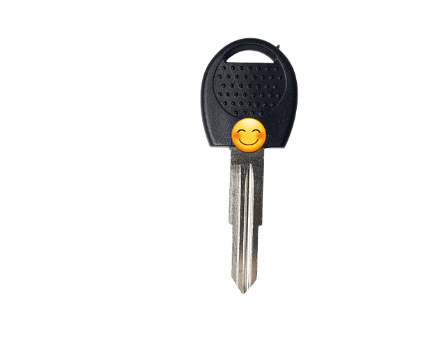 Molde En Blanco Cerrajeria Autos Chevrolet Gm Pack X 5und