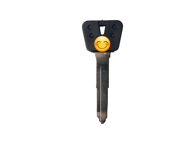 Molde En Blanco Cerrajeria Motocicletas Yamaha Pack X 5und