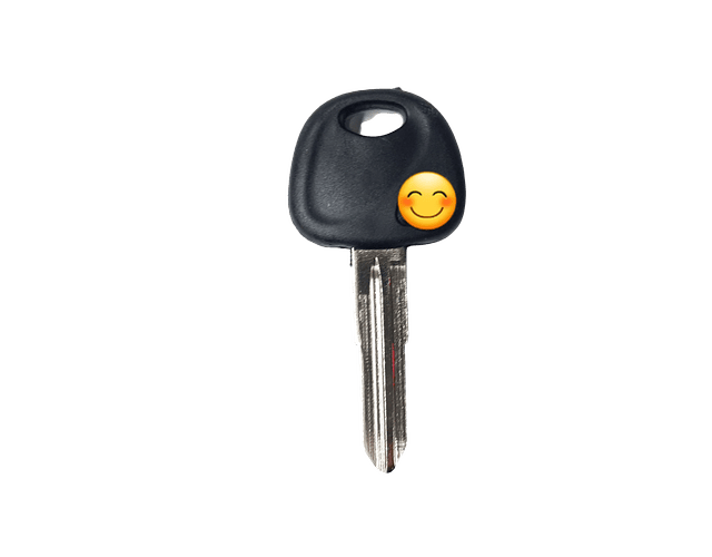 Molde En Blanco Cerrajeria Autos Kia - Hyundai Pack X 5und