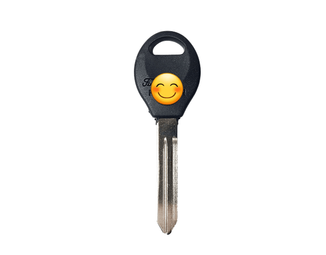 Molde En Blanco Cerrajeria Autos Nissan Mitsubishi Pack X 5und