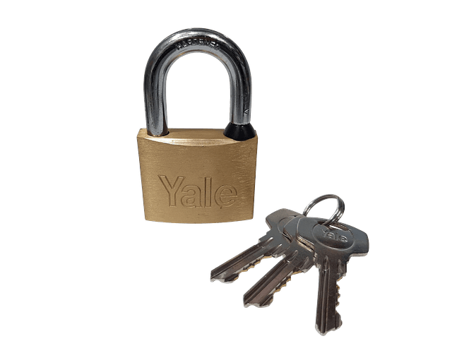 Candado Yale Italiano 110-50 Original Latón 50mm Interiores
