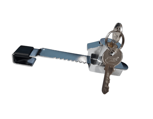 Chapa Cerradura Vitrina 120mm Base Ancha Niquelada Serrucho