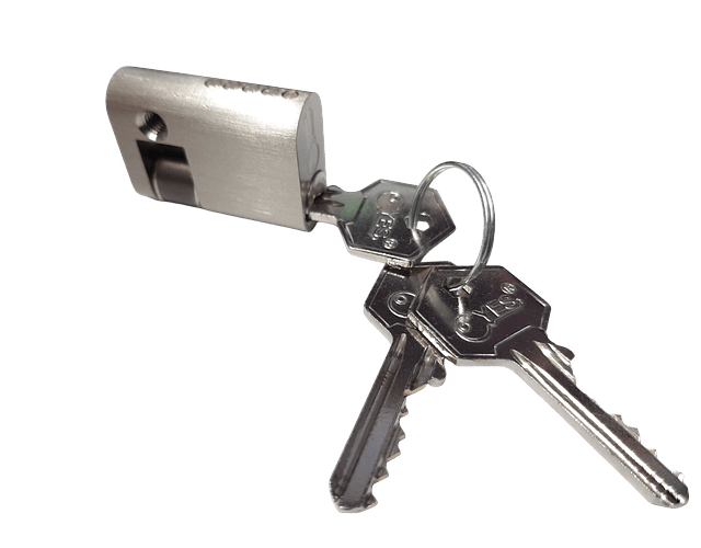 Cerradura 1/2 Cilindro Seguridad Oval Compatible Con Yale 854