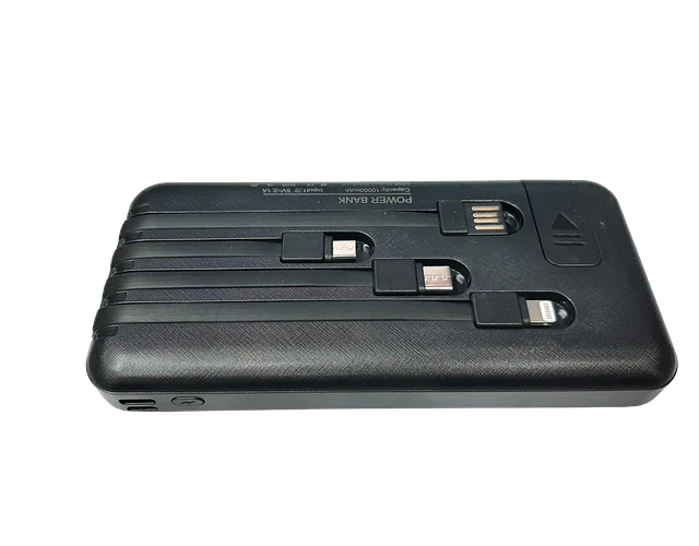 Power Bank Solar Portátil 10.000 Mah Con Cables Unitec
