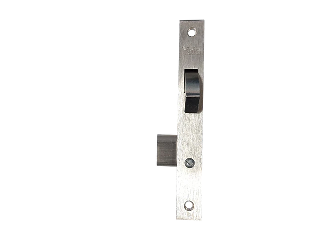 Cerradura Pico Loro De Embutir Sencilla Yale 854 Us26 S