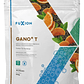 GANO+ T (GANO T) x 28 u. - FUXION - VENTA LIBRE PROMOCION - Miniatura 2