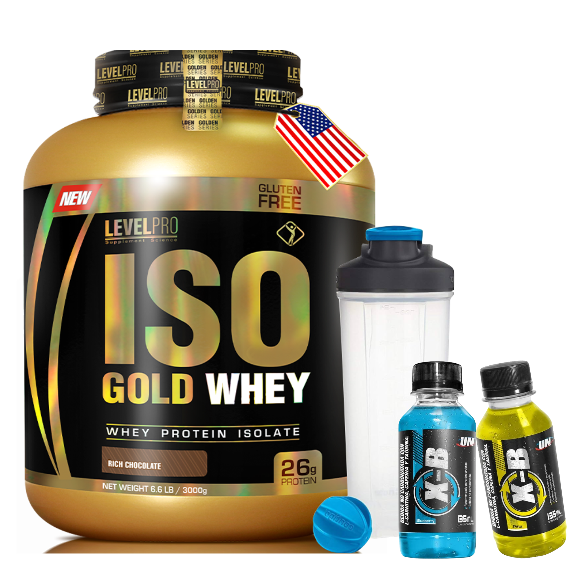 ISO GOLD WHEY x 6.6 lb (3000 g) pote - LEVEL PRO 6