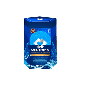 MENTOR-X (mente activa, vida rica) 10 g - Cj x 28 u.