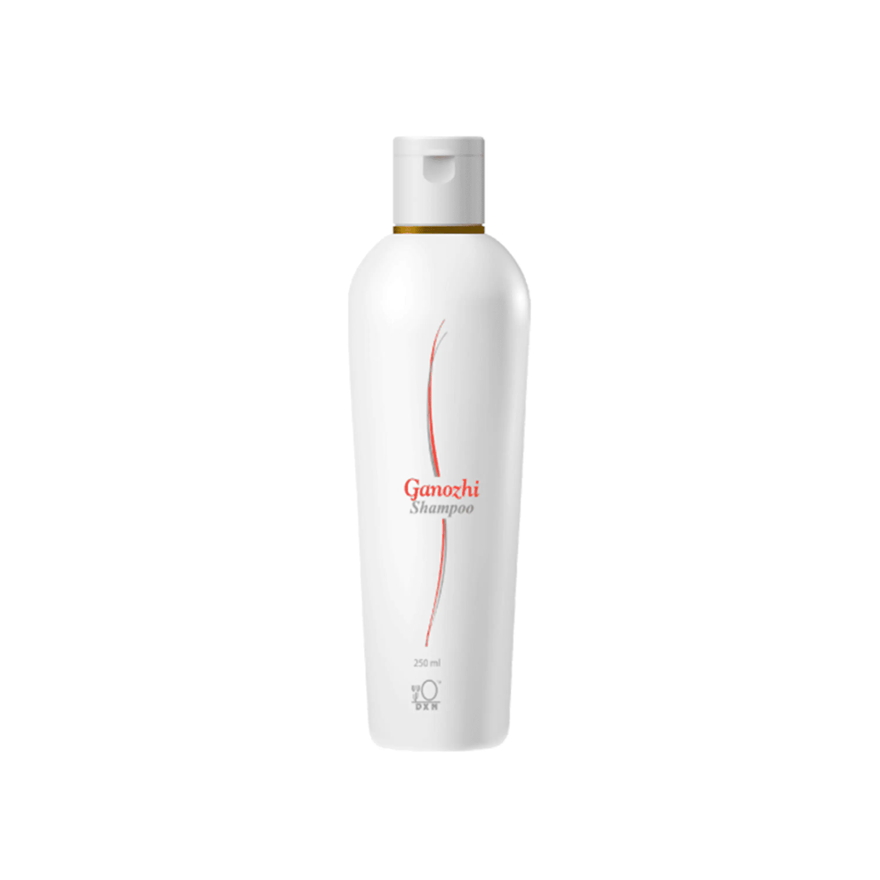 SHAAMPO GANOZHI - bol x 250 ml. 1