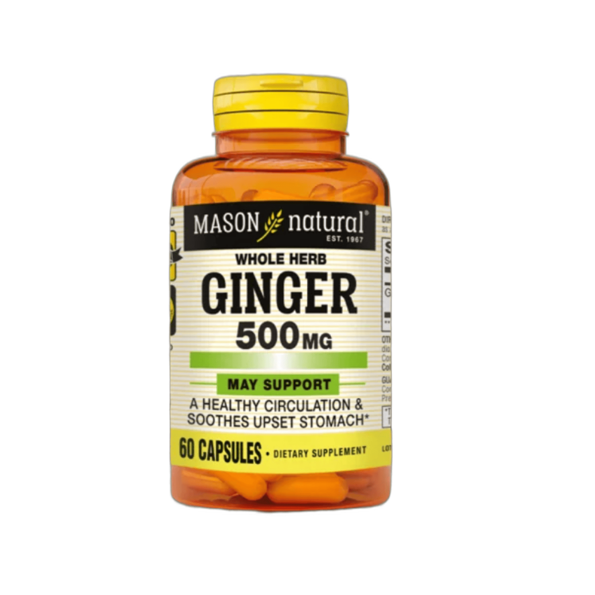 GINGER 500 mg - fco x 60 cap. - MASON - VENTA LIBRE - PROMOCION 1