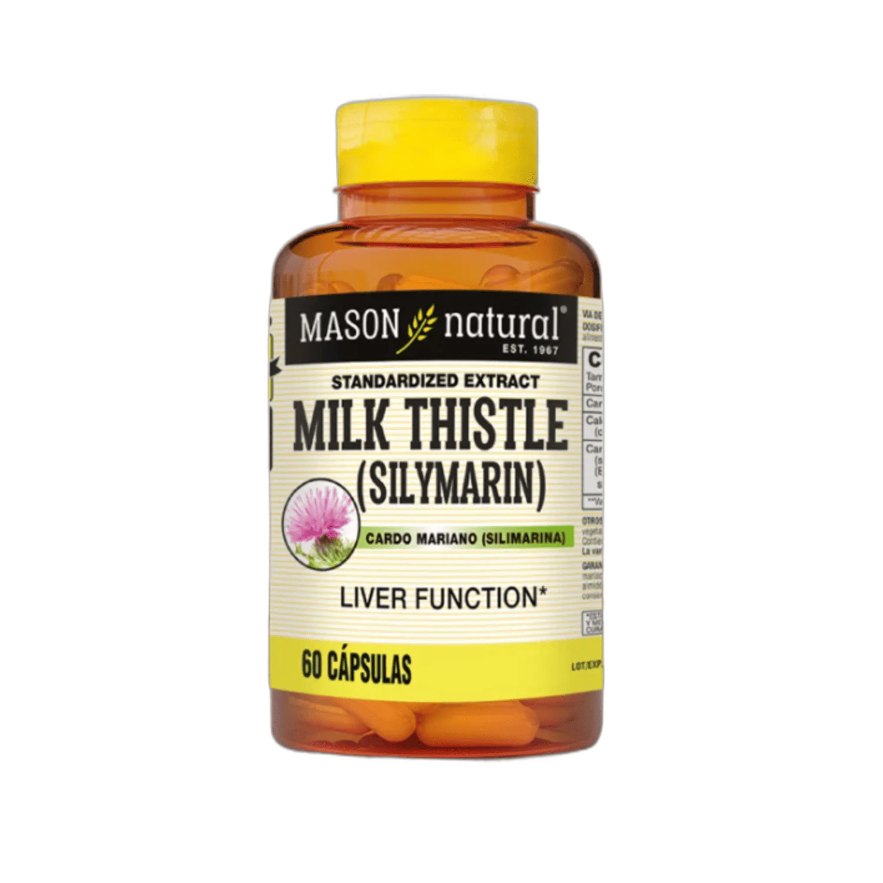 MILK THISTLE (silymarin) - Fco x 60 cap. - MASON - VENTA LIBRE - PROMOCION 1