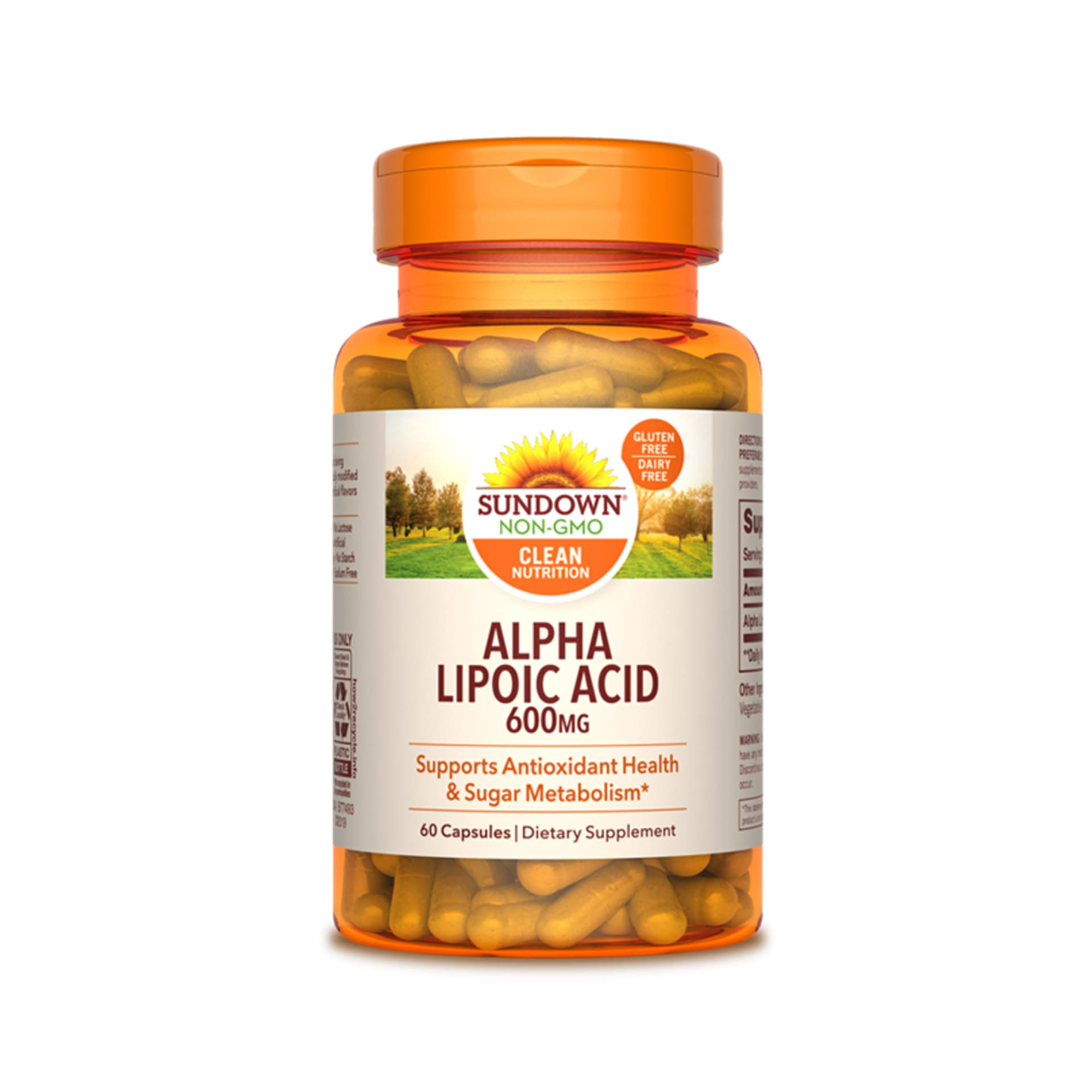 ALPHA LIPOIC ACID 600 mg - fco x 60 cap. 1